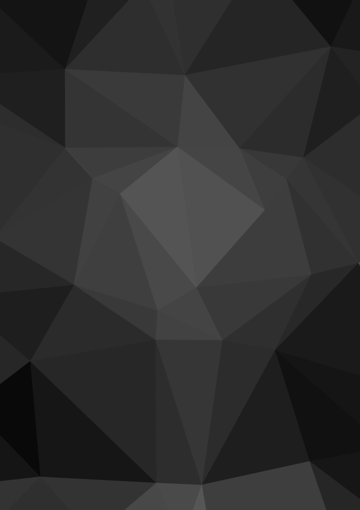 Shinliners - Black Geo