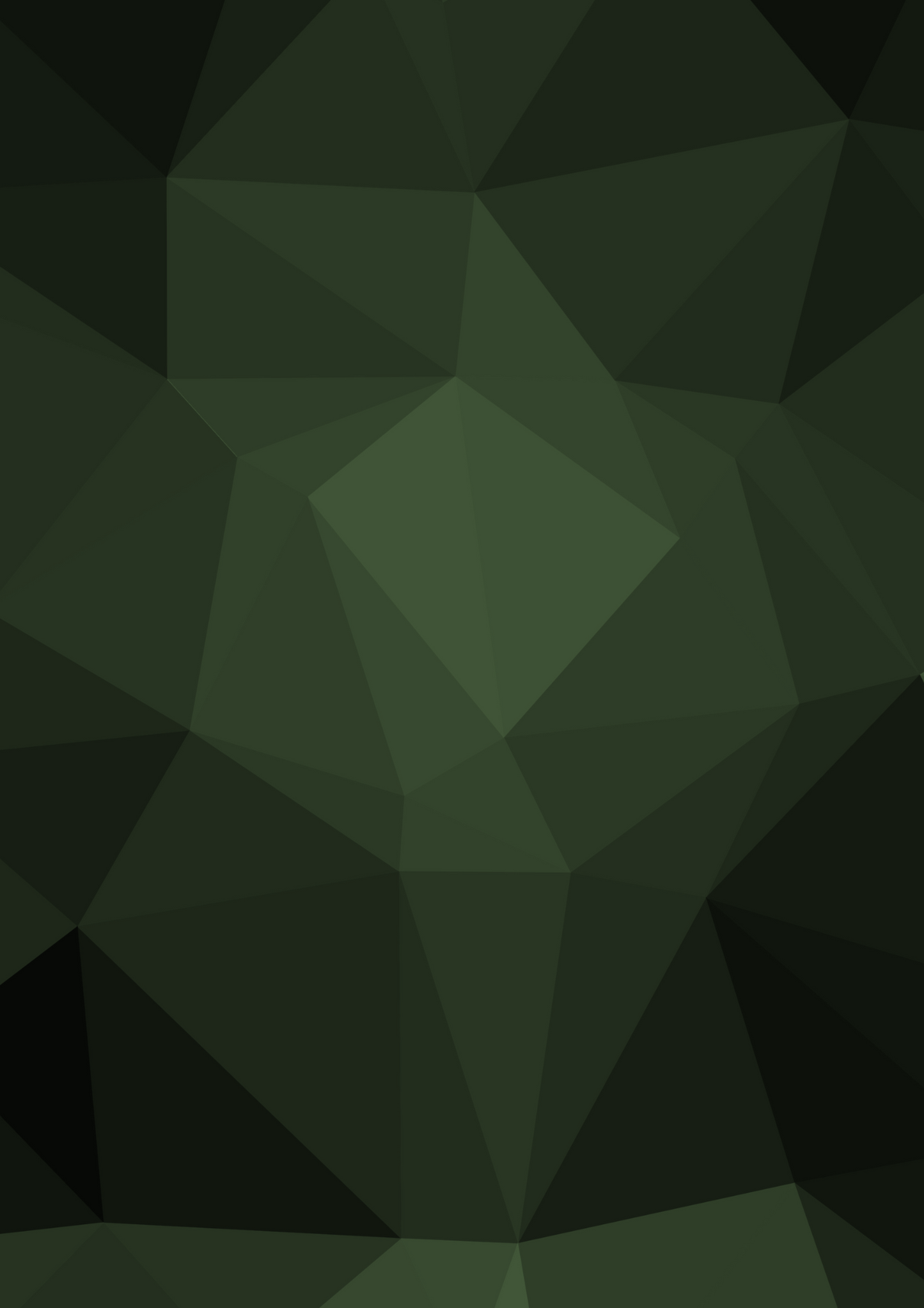 Shinliners - Army Geo