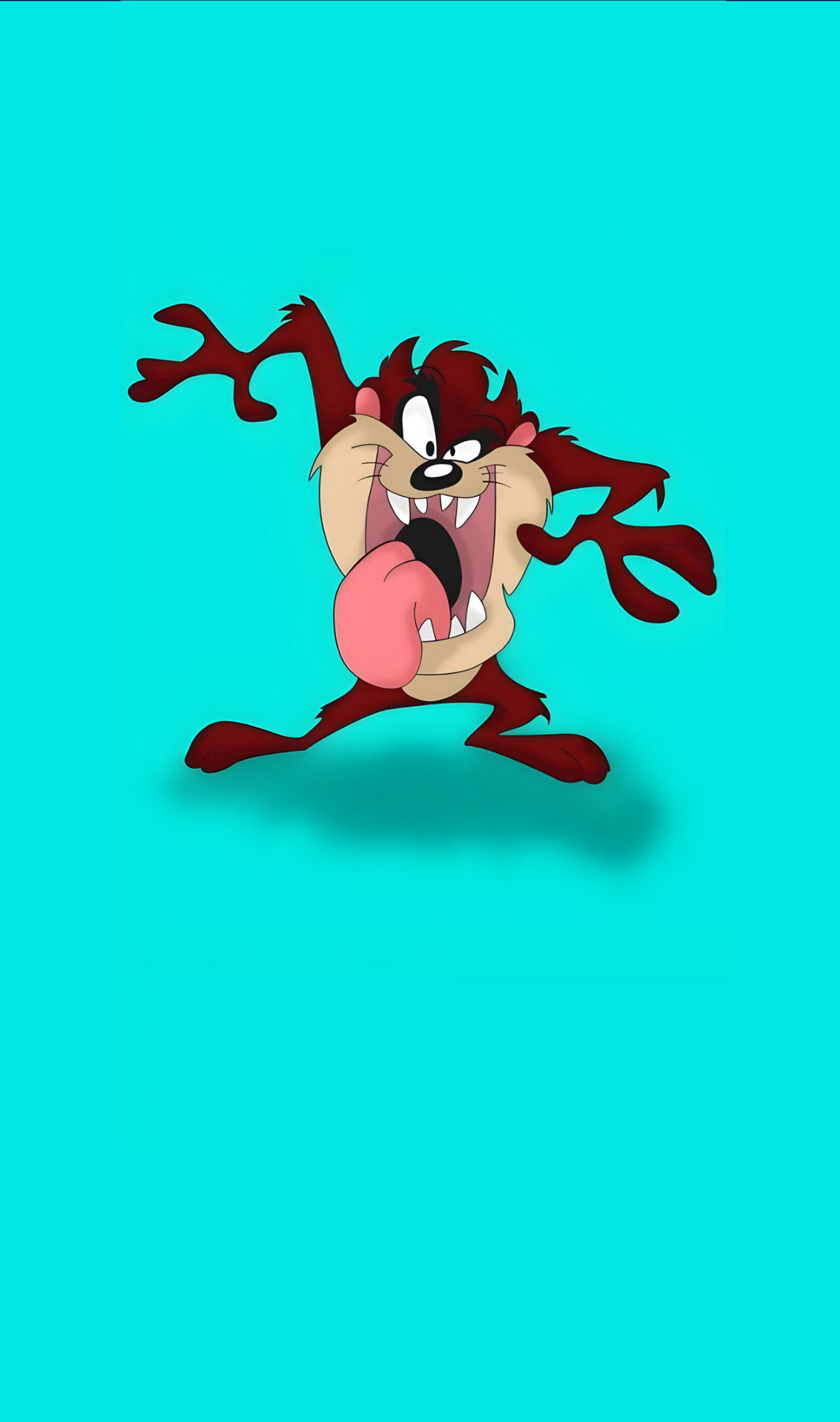 Shinliners - Cartoon Taz